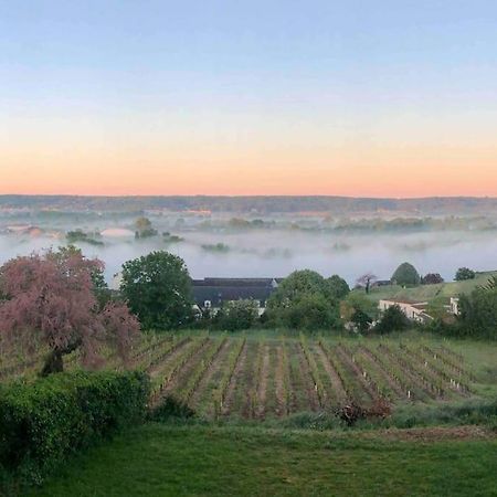 Maison Vue Panoramique Depuis Le Coteau De Шинон Екстер'єр фото