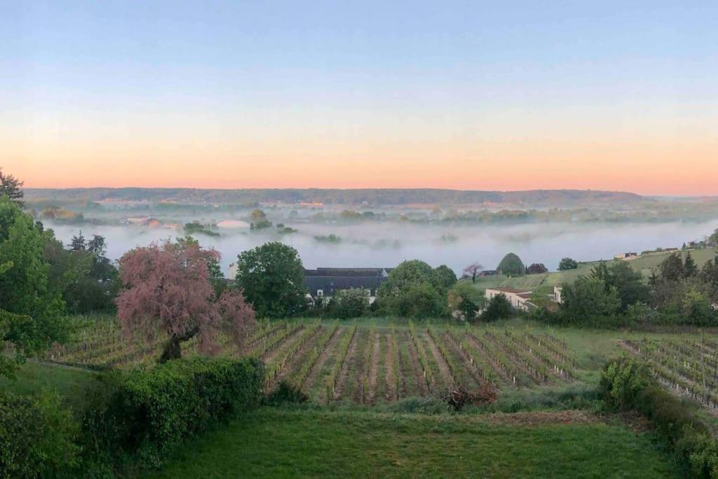 Maison Vue Panoramique Depuis Le Coteau De Шинон Екстер'єр фото